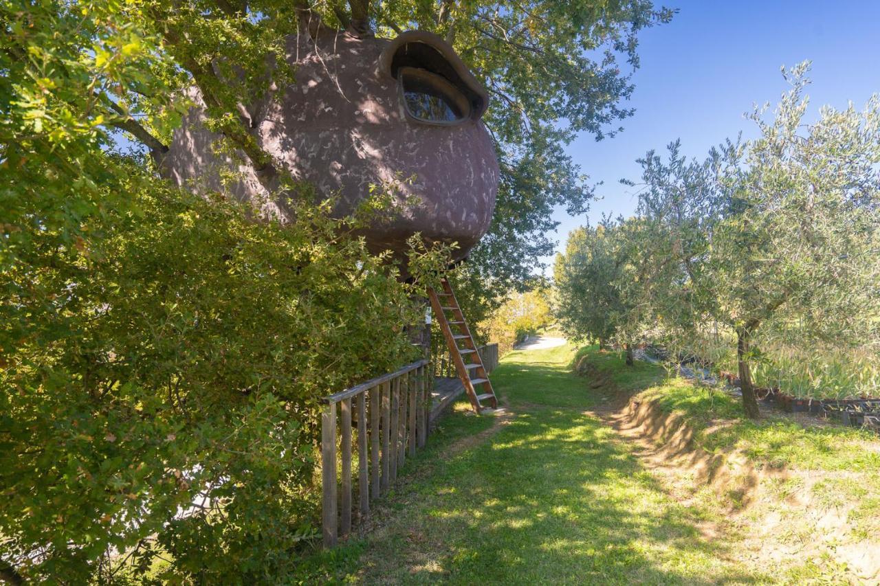 Odina Agriturismo Loro Ciuffenna Εξωτερικό φωτογραφία