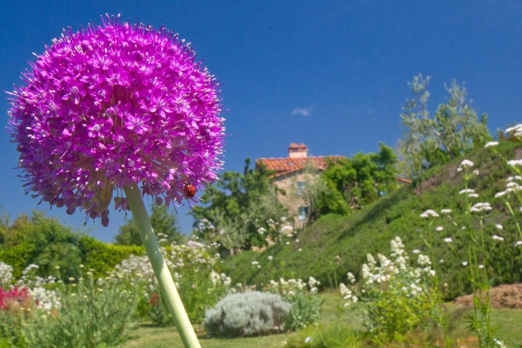 Odina Agriturismo Loro Ciuffenna Εξωτερικό φωτογραφία